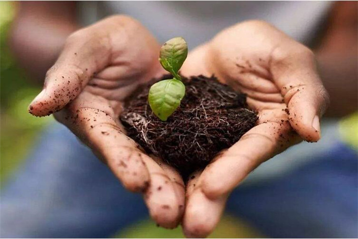 腐植酸修復(fù)土壤真那么神奇嗎？