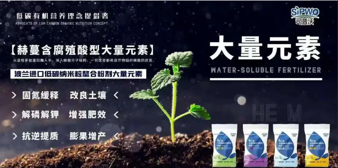 如何選擇葉面肥？葉面肥的施用形式你了解嗎？