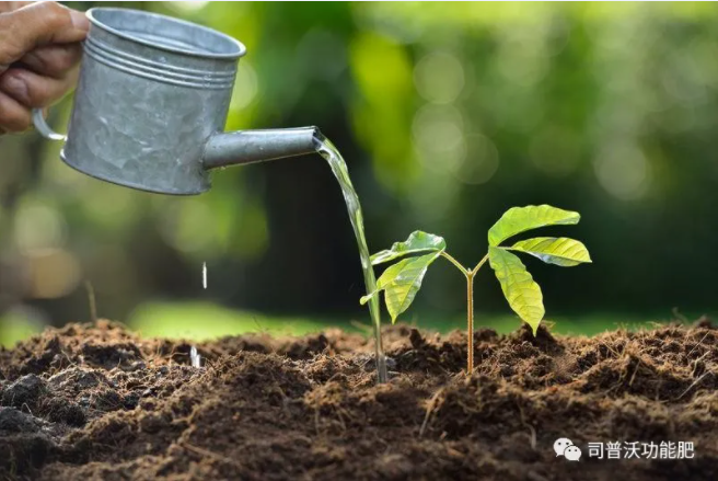 如何識(shí)別土壤酸堿性？6招讓你成為判斷高手！