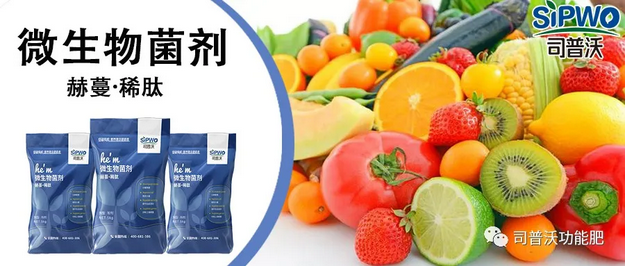 赫蔓微生物菌劑-分解毒素、改良土壤、調(diào)節(jié)生命活動(dòng)、抑制土壤病菌