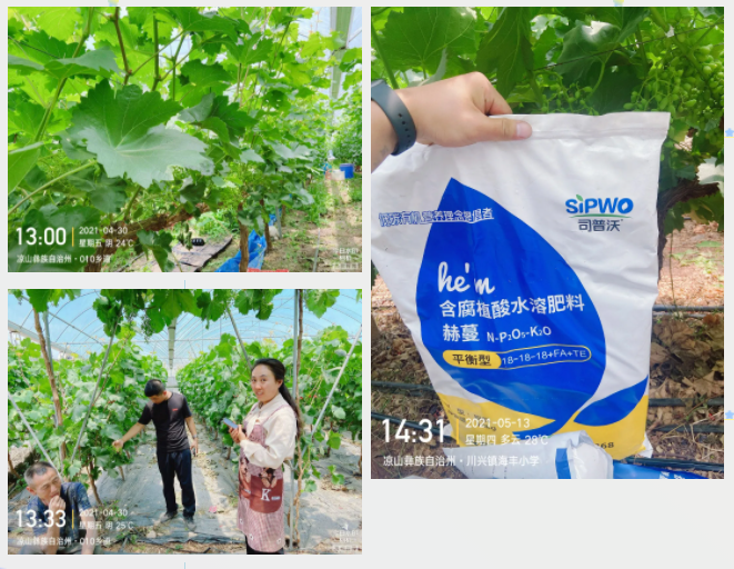 “氮、磷、鉀”三要素，你真吃透了嗎？