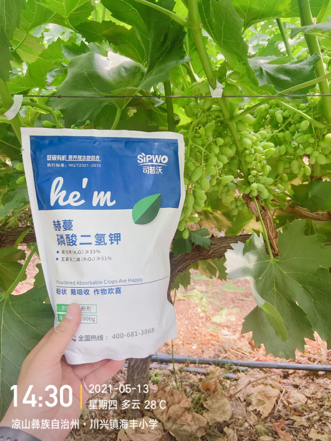 磷酸二氫鉀的辨別真假現(xiàn)場(chǎng)，99%以上是假貨！