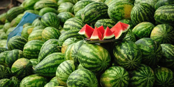 西瓜裂果怎么辦？除了水的管理還要補(bǔ)充這個!