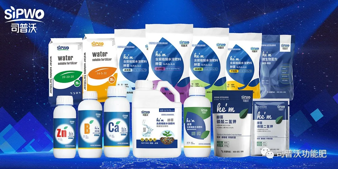 柑橘出現(xiàn)太陽果怎么辦！如何全面防灼防裂？