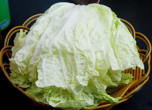 司普沃淺談白菜白銹病發(fā)病癥狀及防治技術(shù)