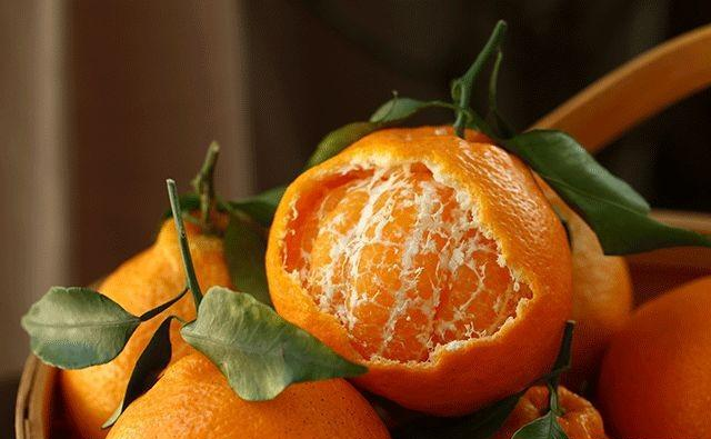 柑橘果面好，果肉卻干水，司普沃與您一起找原因、找方法