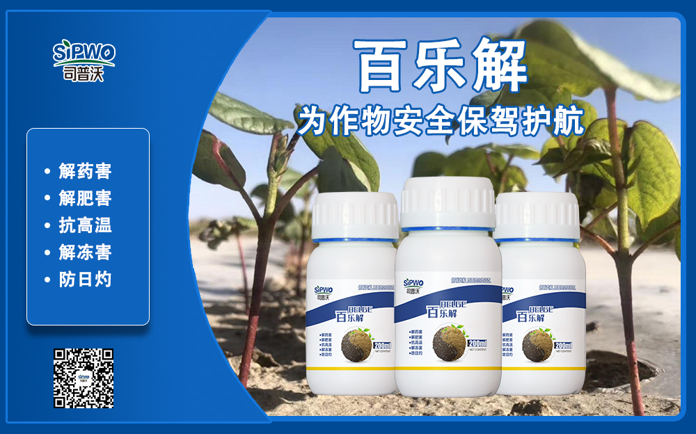 司普沃赫蔓百樂解，解凍害、解肥害、解藥害，棉花上再顯神威！