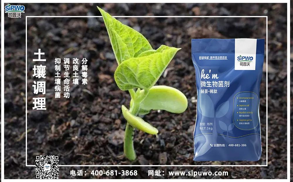 【農(nóng)技知識】土壤出問題了，肥料用再多也別想增產(chǎn)！