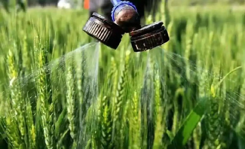 如何科學(xué)施用葉面肥？種植戶可長(zhǎng)點(diǎn)心！