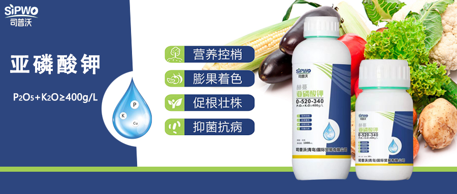 赫蔓·亞磷酸鉀|亦藥亦肥：營養(yǎng)控梢，防病抑菌用處大