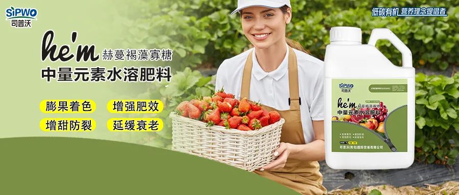 褐藻寡糖--中量元素水溶肥|膨果著色、增強肥效、增甜防裂、延緩衰老