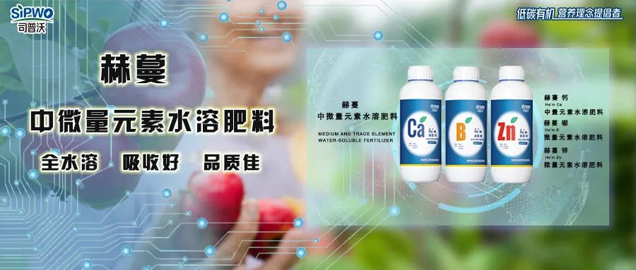 中微量元素鈣、硼、鋅|移動快、吸收好、營養(yǎng)全、品質(zhì)佳