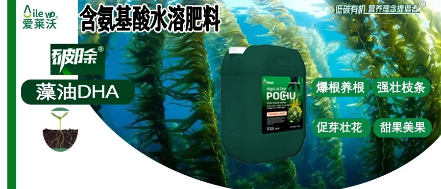 愛萊沃·破除藻油DHA|爆根養(yǎng)根、強壯枝條、促芽壯花、甜果美果