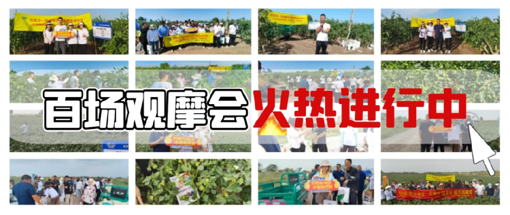 司普沃盛啟百場(chǎng)觀摩會(huì)，**檢驗(yàn)產(chǎn)品熱潮正當(dāng)時(shí)