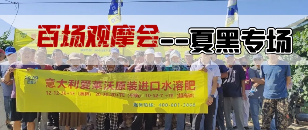 新疆博樂(lè)地區(qū)夏黑葡萄觀摩會(huì)圓滿成功，司普沃功能肥閃耀全場(chǎng)