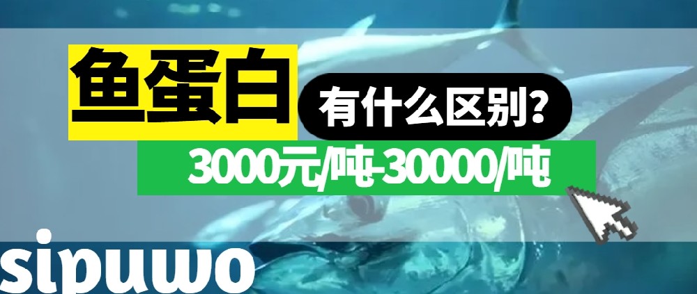 3000-30000元/噸的魚(yú)蛋白有多大差距？一篇文章告訴你！